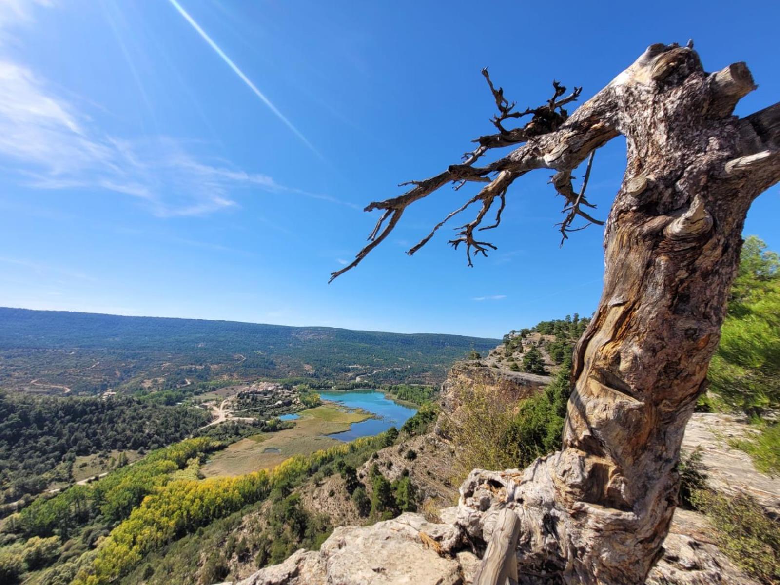 Aventura & Relax Cabanas Pena La Higuera Villalba de la Sierra Zewnętrze zdjęcie
